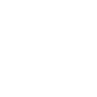 Brachial Plexus Injury