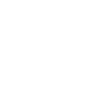 Spine Stabilization & Fusion Surgery