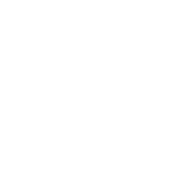 Spondylosis