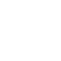 Stereo-EEG & Epilepsy Mapping